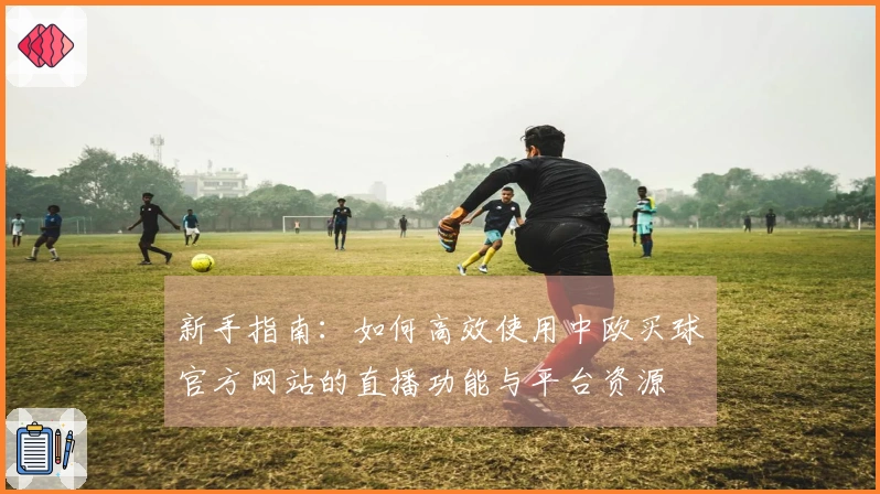 新手指南：如何高效使用中欧买球官方网站的直播功能与平台资源