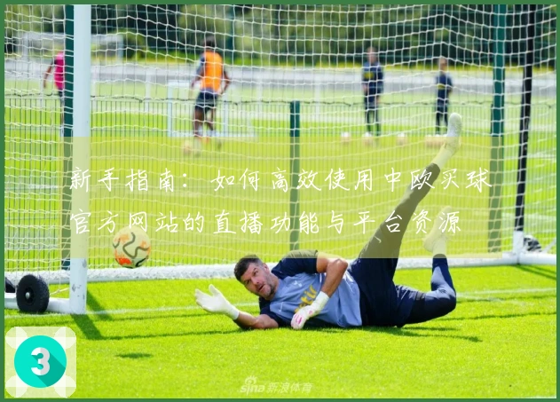 新手指南:如何高效使用中欧买球官方网站的直播功能与平台资源
