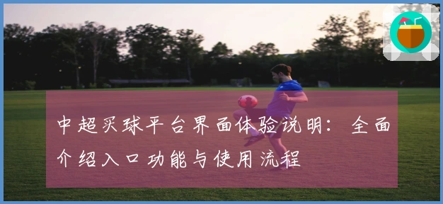 中超买球平台界面体验说明：全面介绍入口功能与使用流程