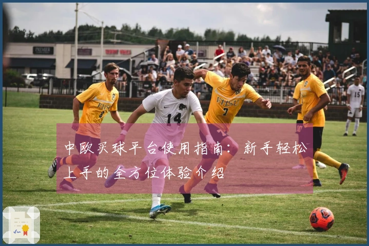中欧买球平台使用指南：新手轻松上手的全方位体验介绍