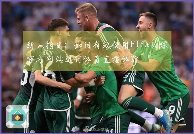 新人指南：如何有效使用FIFA买球官方网站进行体育直播体验