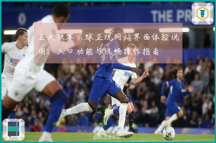 五大联赛买球正规网站界面体验说明：入口功能与流畅操作指南